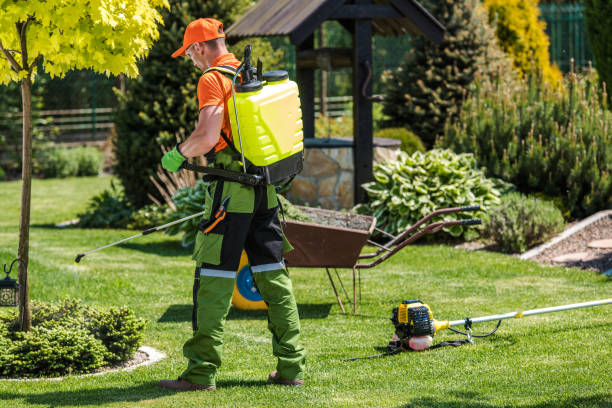 Best Lawn Pest Control  in Dravosburg, PA